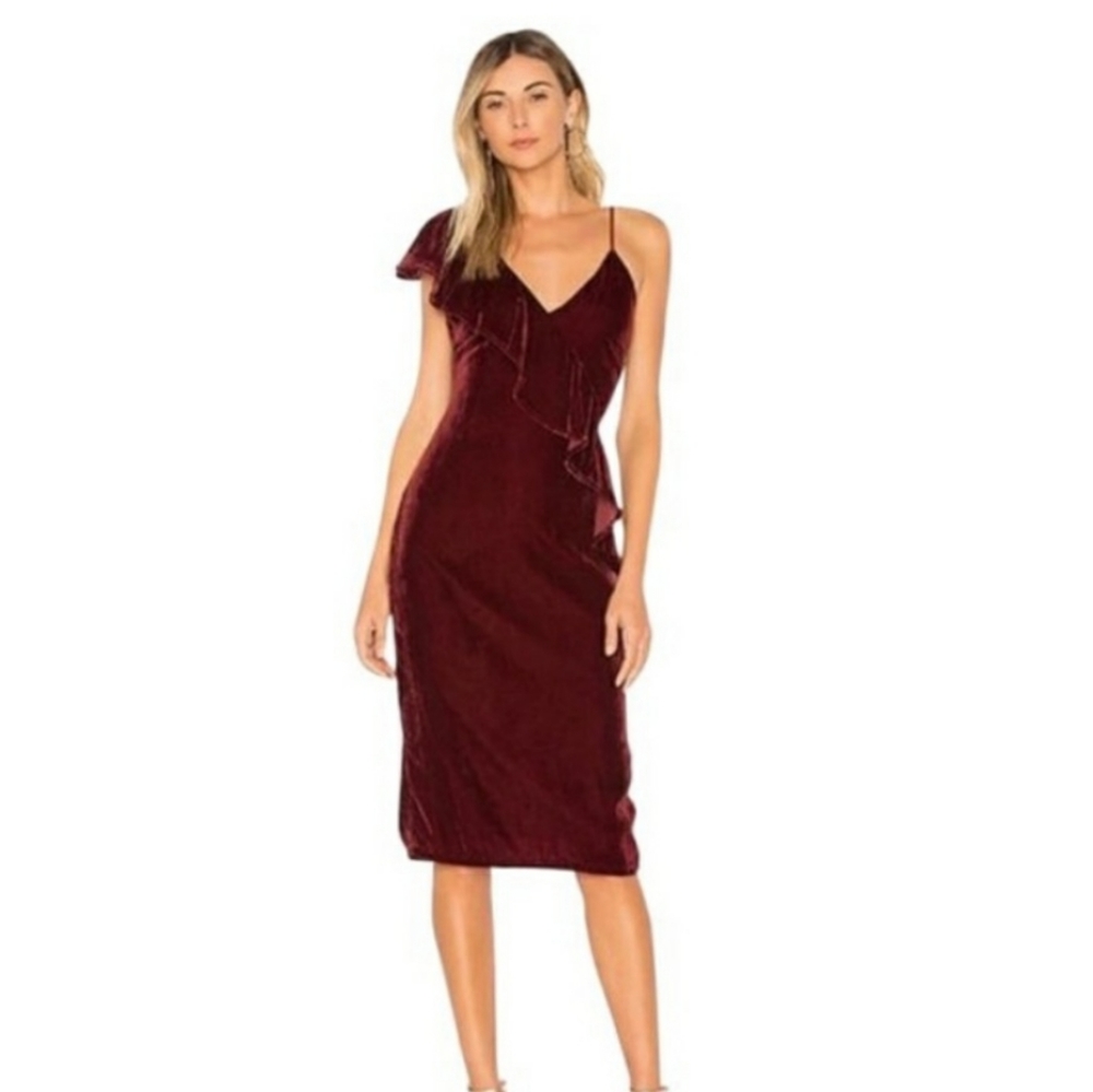 Revolve Tularosa Velvet Dress